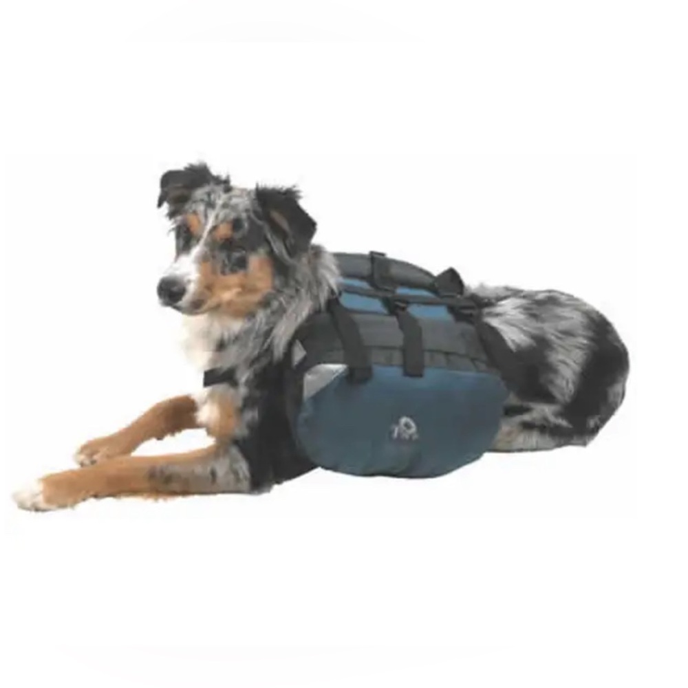 Doggie Adventure “Backpack”